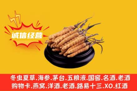 沈阳市沈北回收冬虫夏草